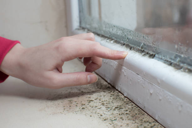 Best Indoor Air Quality Assessment  in Pines Lake, NJ