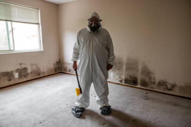 Best Biohazard Mold Removal  in Pines Lake, NJ