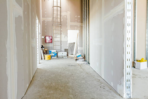 Best Water Damage & Mold Remediation  in Pines Lake, NJ
