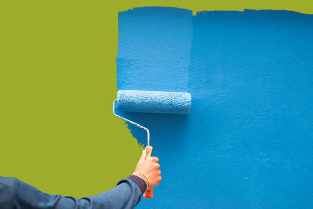 Best Mold Damage Restoration  in Pines Lake, NJ